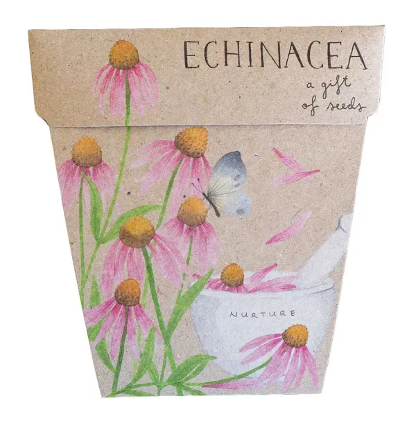Echinacea, A Gift of Seeds